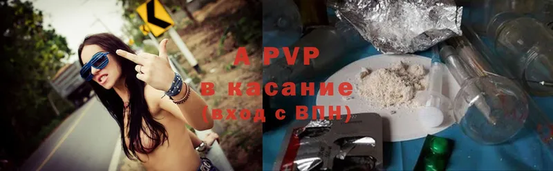 A PVP VHQ  Сольвычегодск 